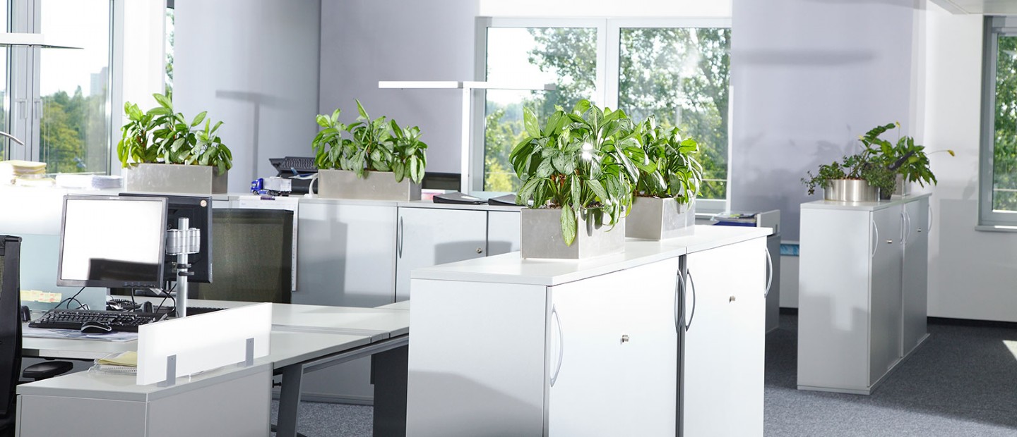 Glastrennwände fürs Büro einbauen lassen, Bürotren